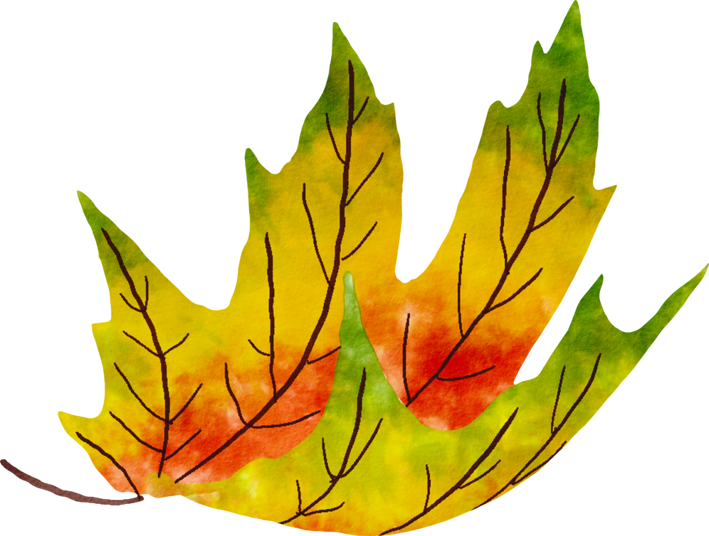 Autumn maple leaves watercolor